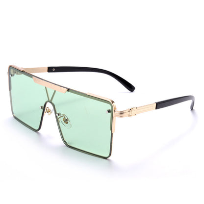 Sunglasses Men's Square Modern Sunglasses Glasses