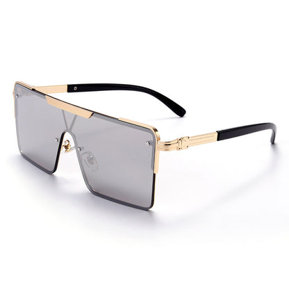 Sunglasses Men's Square Modern Sunglasses Glasses