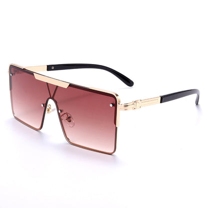 Sunglasses Men's Square Modern Sunglasses Glasses