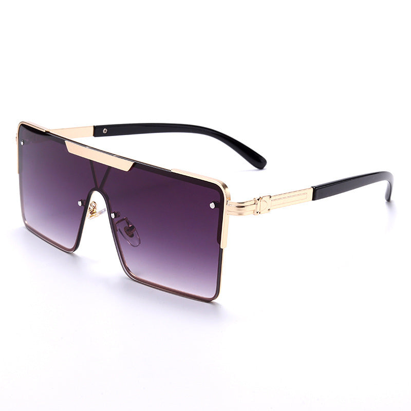 Sunglasses Men's Square Modern Sunglasses Glasses