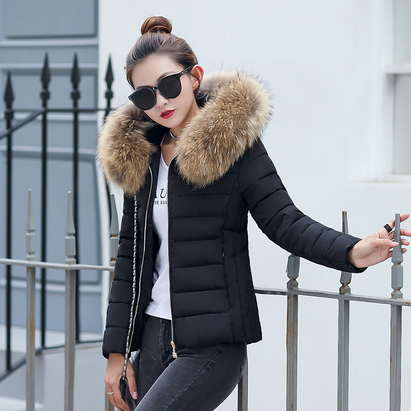 Women's Cotton-padded Coat Plus Size Short Fur Collar Slim Quilted Coat