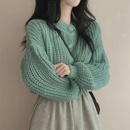 Women's Fashion Knitwear Sweater Short Coat